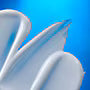 Moisturiser Myths You Should Stop Believing Now