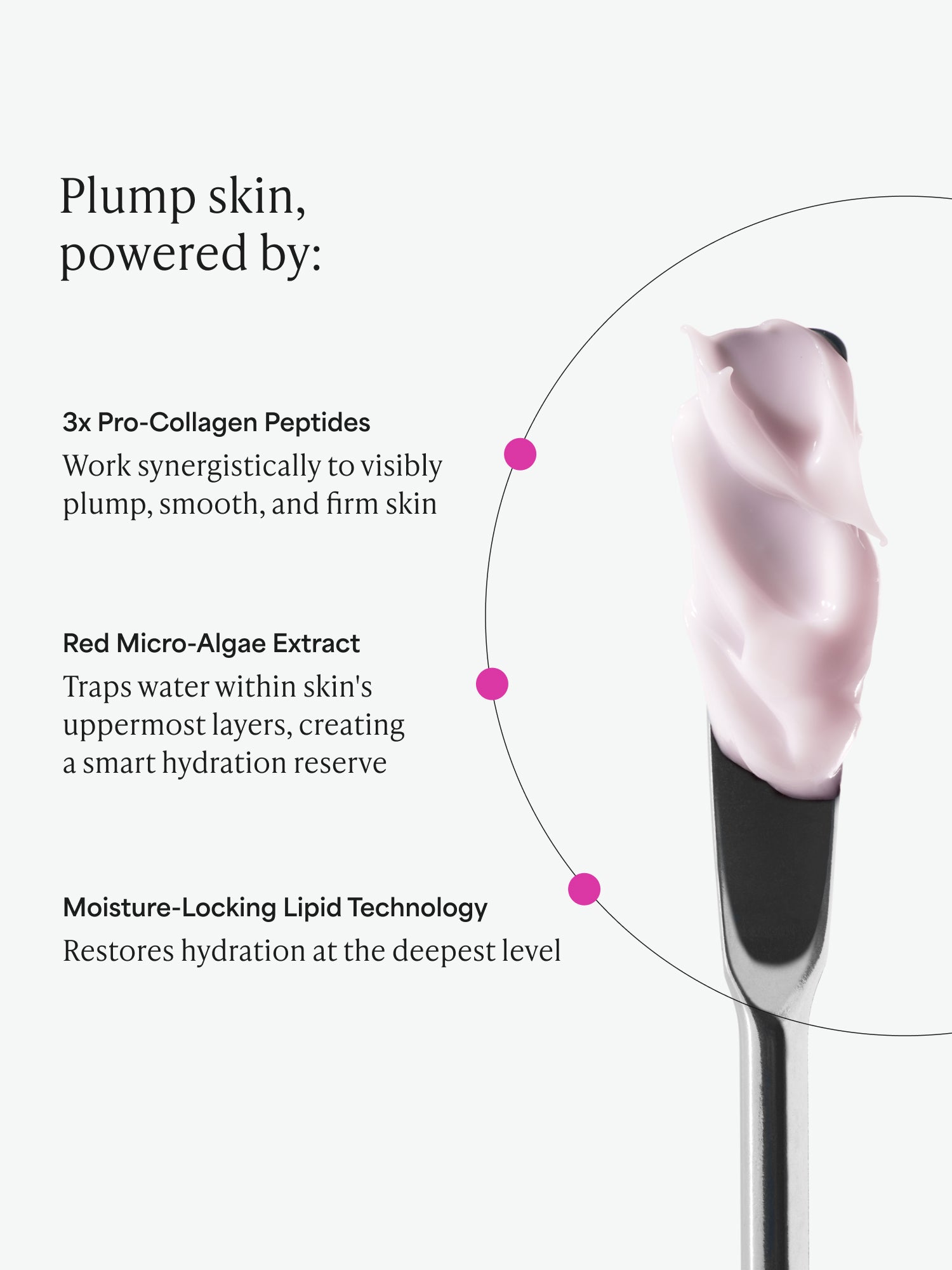 Pro-Collagen Peptide Intensive Plumping Moisturizer