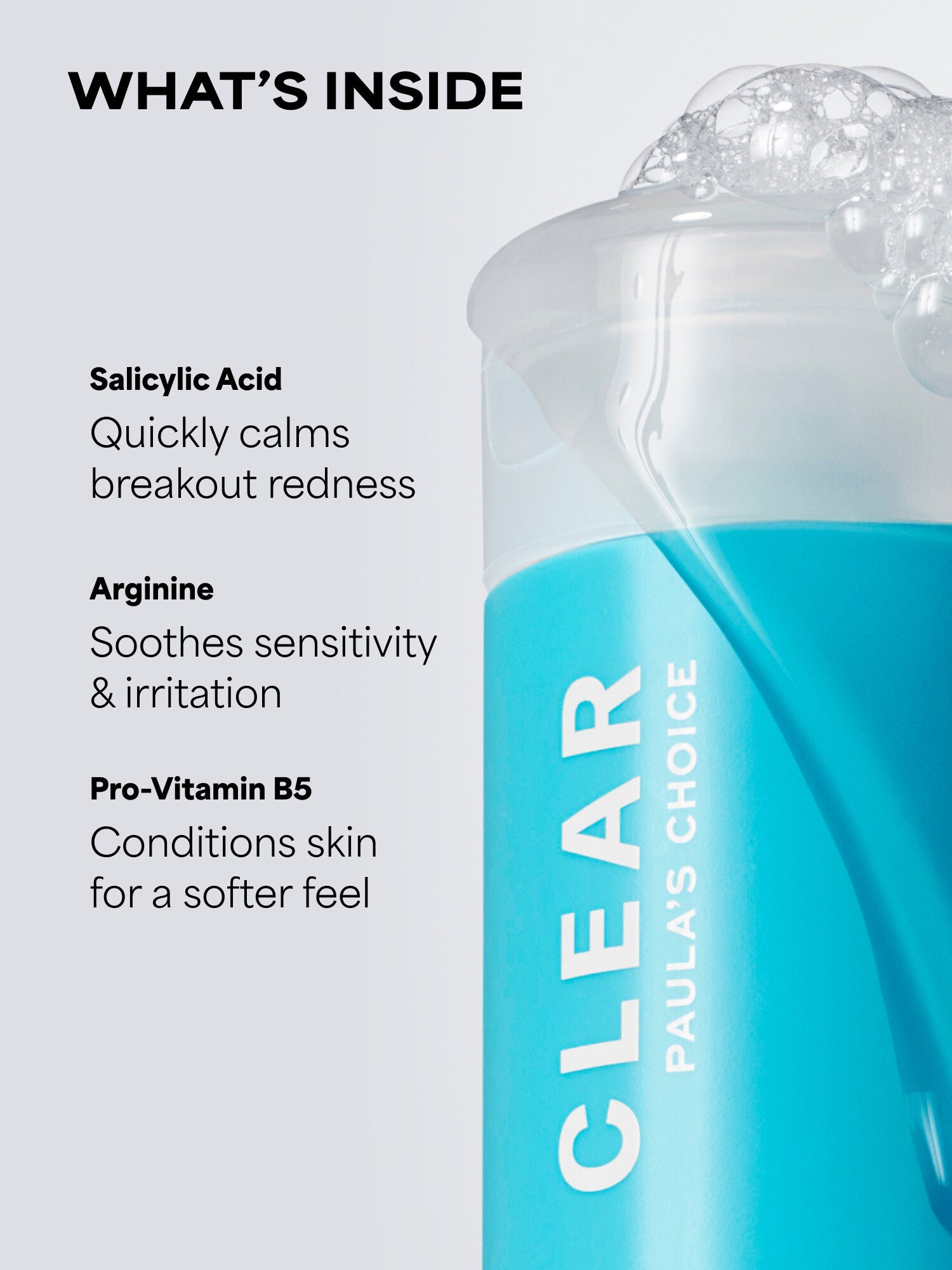CLEAR Pore Normalizing Cleanser
